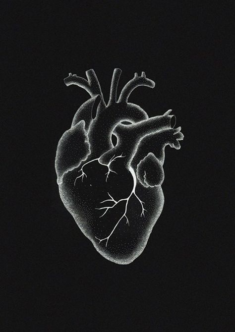 Heartache Painting, Real Heart Wallpaper, Heart Paintings, Bitmoji Classroom, Black Symbols, Android Wallpaper Black, Medical Drawings, Heart Anatomy, Funny Iphone Wallpaper