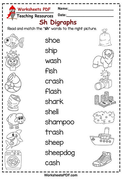 Read and match the “sh” words Diagraph Worksheets, Digraph Worksheets, Digraphs Worksheets, Digraph Words, Blends Worksheets, Reading Comprehension Kindergarten, Phonics Rules, Cvce Words, English Grammar Worksheets