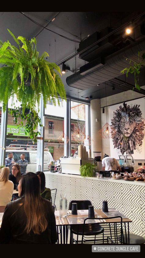 #cafe #coffee #brunch #sydney #sydneyaustralia #coffeeshop Jungle Cafe, Sydney Cafe, Cafe Pictures, Seasonal Produce, Business Ownership, Farmers Markets, Cafe Coffee, In Season Produce, Google Reviews