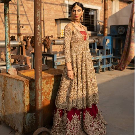 Orange Dress Indian, Wine Lehenga, Organza Frocks, Rust Orange Dress, Pink Sharara, Embroidery Embellishments, Heavy Dresses, Pakistani Couture, Desi Bride