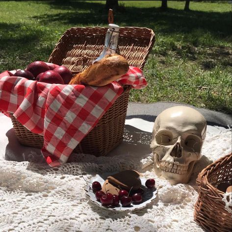 Dark Picnic Aesthetic, Vampire Picnic, Spooky Summer Aesthetic, Emo Picnic, Summerween Picnic, Graveyard Picnic, Cemetery Picnic, Spooky Picnic, Summerween Aesthetic