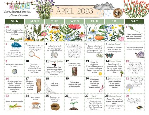 April Nature Calendar - April Homeschool Activities, April Journal, April Preschool, Homeschool Calendar, Nature Calendar, Preschool Schedule, Calendar Activities, Earth Month, March Activities