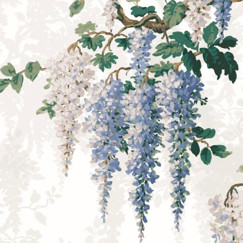 The enchanting nature of the long, trailing scented blooms of Wisteria was the inspiration behind this vintage floral design. With its lush beauty, this charming vining plant symbolises long-life and immortality, and lends itself to being the perfect print to bring a magical calm to your space. If you’re looking for a design to define the chinoiserie and oriental trend, this is it. Hanging Flower Painting, Border Floral Design, Wisteria Mural, Wisteria Tattoo, Flower Murals, Border Painting, Beautiful Border Design, Truck Art Pakistan, Blue Wisteria