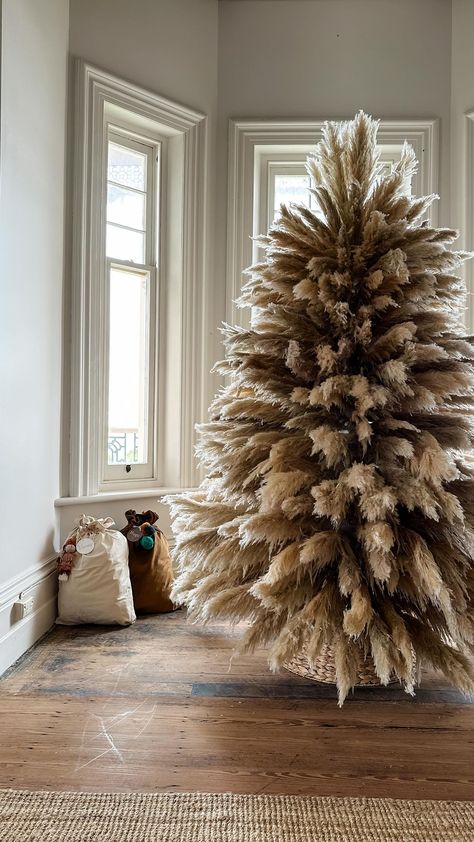 NEUE BLVD | Did you know Christmas is in 105 days? 🤩 Let nature inspire your festivities this year 🎄 Pampas pre-orders are happening now!... | Instagram Christmas Tree Pampas Decor, Pampas Grass Christmas Tree Garland, Pampas Grass Christmas Tree Topper, Pampas Grass Christmas Tree Picks, Pampas’s Christmas Tree, Paper Flower Backdrop, Giant Flowers, Paper Flower Wall, Modern Christmas