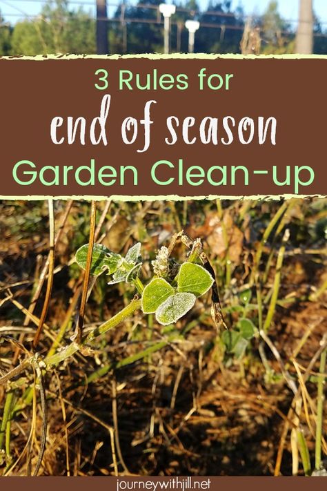 As you prepare your garden for winter, you know you need to begin your fall garden clean-up. These ideas will provide you tips for garden clean-up after the harvest so you can prepare your garden for next year! Garden Preparation, Garden Prepping, Fall Clean Up, Fall Cleaning, Vertical Herb Garden, Pole Beans, Fall Vegetables, Fall Garden, Home Vegetable Garden