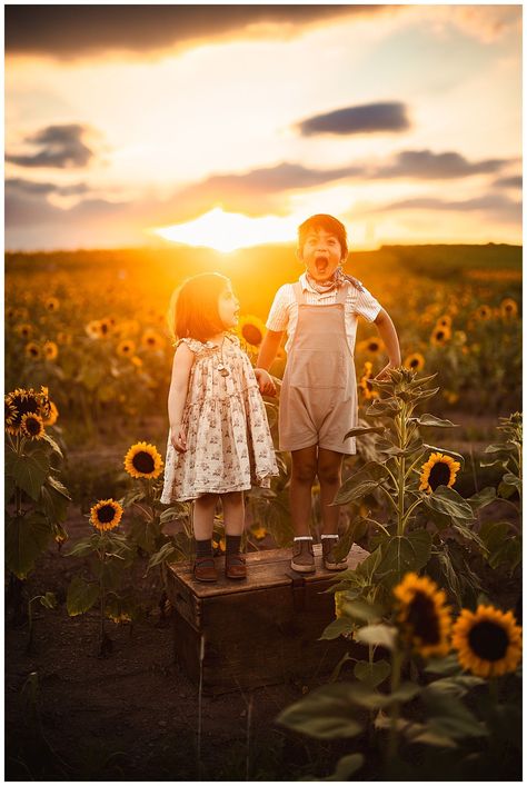 Sunflower Family Photos, Field Family Photos, Sunflower Pics, 1st Photoshoot, Sunflower Photos, Sunflower Field Photography, Sunflower Field Pictures, Sunflower Photoshoot, Sunflower Season