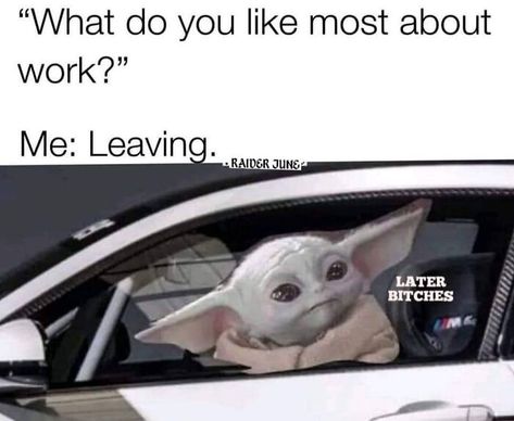 Funny-Relatable-Work-Memes-Jokes Job Memes, Hate Work, Yoda Funny, Workplace Humor, Work Quotes Funny, Office Life, Work Jokes, Office Humor, Hilarious Memes