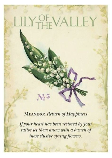 Quotes Flower, Garden Witch, Tattoo Plant, Valley Flowers, Flower Meanings, Language Of Flowers, Flower Quotes, Botanical Flowers, Lily Of The Valley