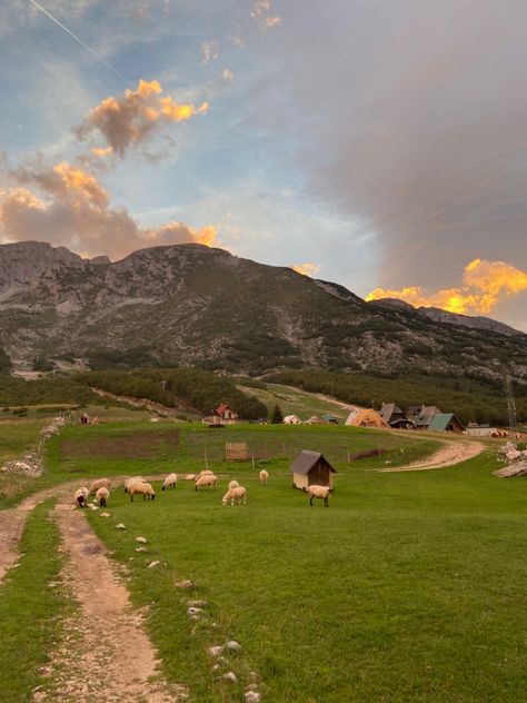 sheep graze in the meadow, against the backdrop of mountains and small village houses Cute Village, All Anime Characters, Sheep Farm, Cute Sheep, Mountain Village, Future Life, Art References, All Anime, Dream Life