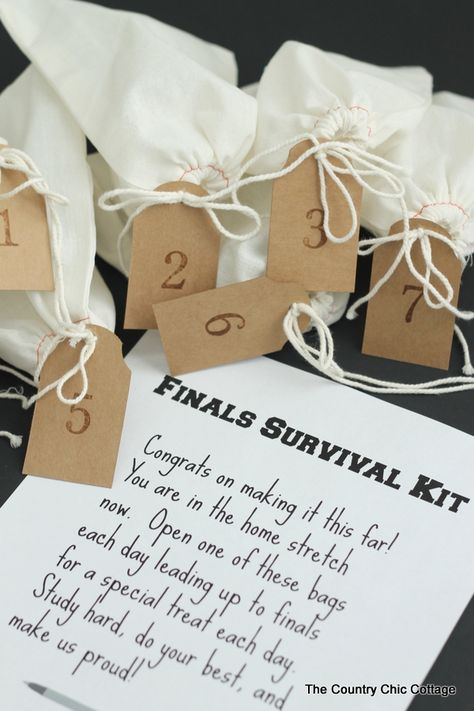 Finals Survival Kit -- sending this little care package to my college student today! Finals Survival Kit, Finals Care Package, Finals Week College, College Survival Kit, College Finals, Survival Kit Gifts, College Survival, Survival Supplies, College Care Package