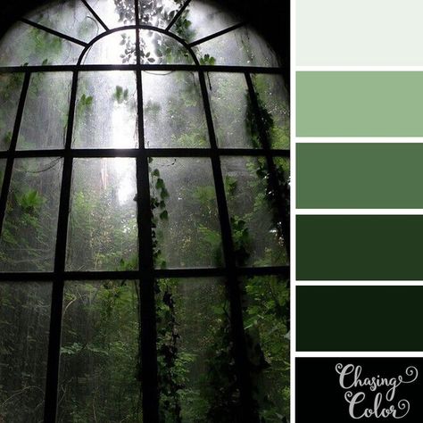 Greenhouse window with a view on leafy greens – Color palette by chasing.color on Instagram #colors #colorpalette #green #forest #mint #darkgreen #greenhouse #window #nature Nature Photography Rain, Window With A View, Greenhouse Window, Photography Rain, Pallet Tree, Greenhouses For Sale, Plant Watering System, Create Color Palette, Color Board