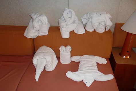 Pictures: 11 of the Best Cruise Ship Towel Animals - Cruise Critic Cruise Towel Animals, Cruise Ship Photos, Cruise Ship Tips, Cruise Drinks, Carnival Glory, Carnival Sunshine, Best Cruise Ships, Cruise Food, Cruise Pictures