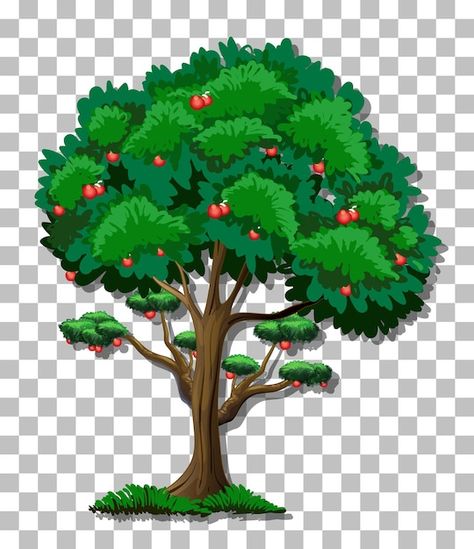 Apple tree on transparent background | Free Vector #Freepik #freevector #apple-tree #food-tree #tree-clipart #cartoon-tree Cartoon Tree Png, Tree Animated, Food Tree, Recorder Songs, Cartoon Tree, Debut Invitation, Basic Resume, Cartoon Trees, Tree Clipart