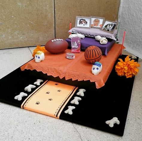 Day of the Dead pet altar Pet Altar Day Of The Dead, Ofrenda For Dog, Pet Ofrenda, Pet Altar, Samhain Halloween, Dead Dog, Pet Day, Mexican Culture, Polly Pocket