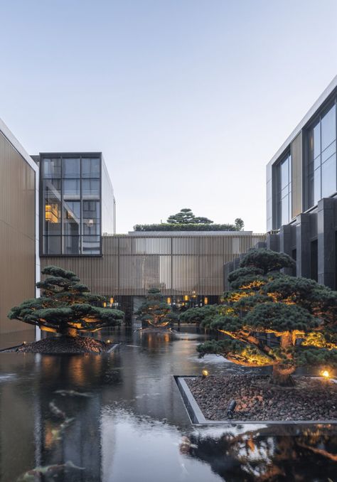 Park Hyatt Shanghai, Luxury Exterior, Japanese Style House, Expect Nothing, Asian Garden, Park Hyatt, Architect Design House, Hotel Amenities, Chinese Garden