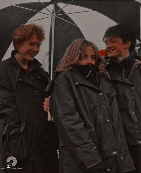 Harry Potter Cast Aesthetic, Harry Potter Trio Aesthetic, Third Year Harry Potter, Harry Potter Cute Photos, Hp Cast Photos, Harry Potter Group Photo, Harry Potter Golden Trio Aesthetic, Harry Potter Fan Cast, Harry Potter Cast Pictures