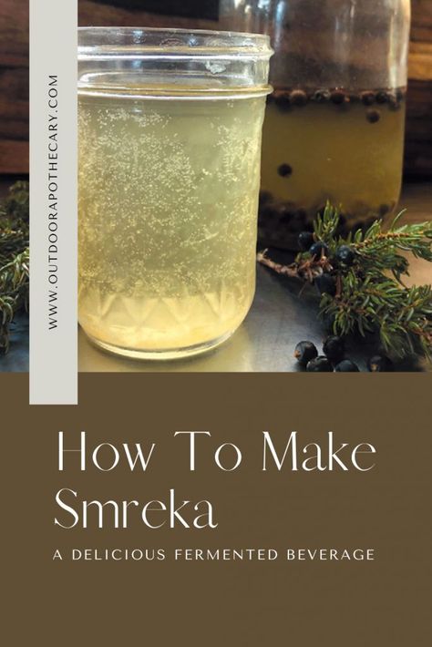 Foraging Recipes, Fermentation Recipes, The Balkans, Juniper Berries, Fermented Drink, Harvest Recipes, Herbal Recipes, Probiotic Foods, Homemade Drinks