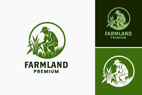 Food Company Logo, Premium Logo Design, Rice Packaging, Agriculture Logo, Art Courses, Company Meals, Premium Logo, Logo Banners, Cityscape Photos