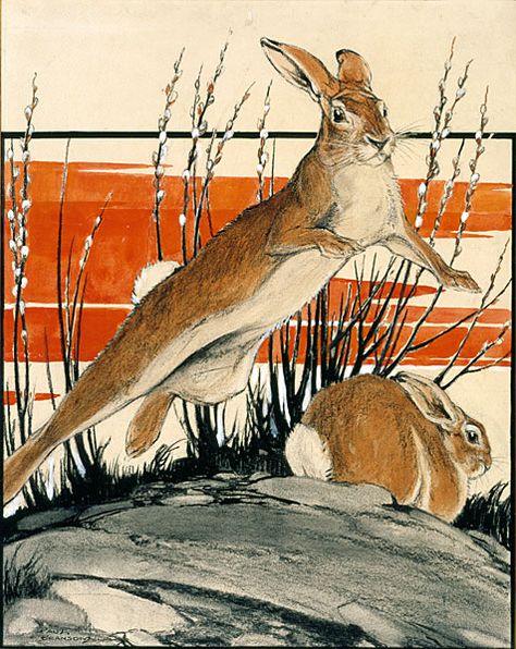 Marjolein Bastin, Rabbit Art, Bunny Art, Year Of The Rabbit, Woodland Creatures, Wildlife Art, Pics Art, National Museum, Art Plastique