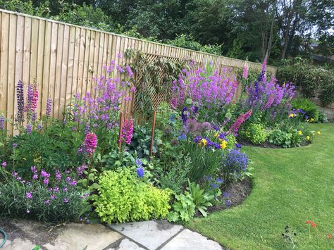 Sweet Rocket Flowers on garden border with Foxgloves and Alliums Country Garden Flower Beds, Garden Border Planting Plan, Uk Flower Beds, Narrow Garden Border Ideas, Front Garden Border Ideas Uk, Driveway Border Plants, Narrow Border Planting Ideas, Flower Border Garden, Border Planting Ideas