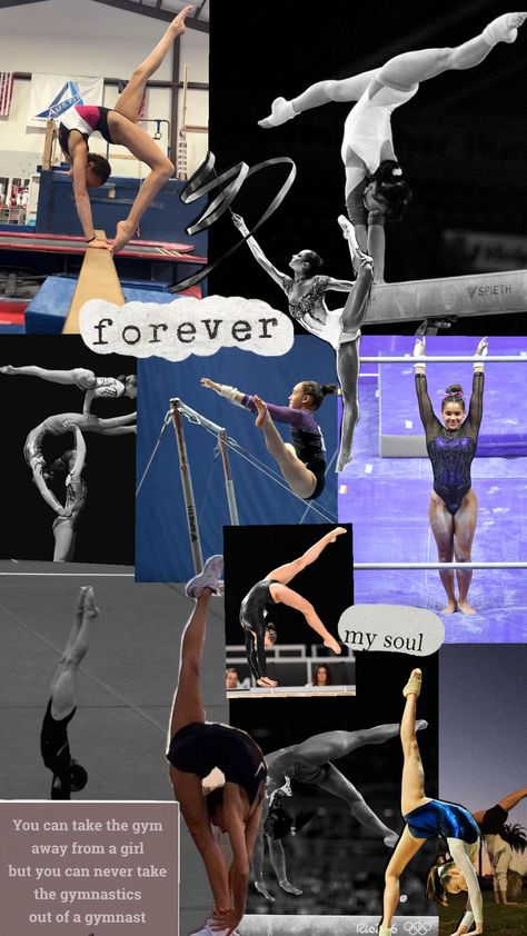 #gymnastics #gymnast#rhythmicgymnastics#acrogymnastics#forever Gymnastics Wallpaper, Gymnastics For Beginners, Cheerleading Quotes, Gymnastics Quotes, Gymnast, Leotards, New Life, Cheerleading, Gymnastics