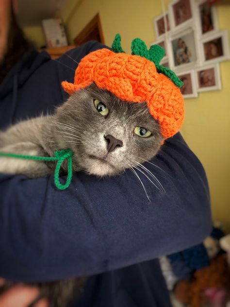 Crochet Pumpkin Cat Hat Pattern Free, Hat For Cat, Crochet Pets, Cat Hat Pattern, Crochet Pet, Crochet Cat Hat, Inktober 2024, Pumpkin Cat, Hat Patterns Free