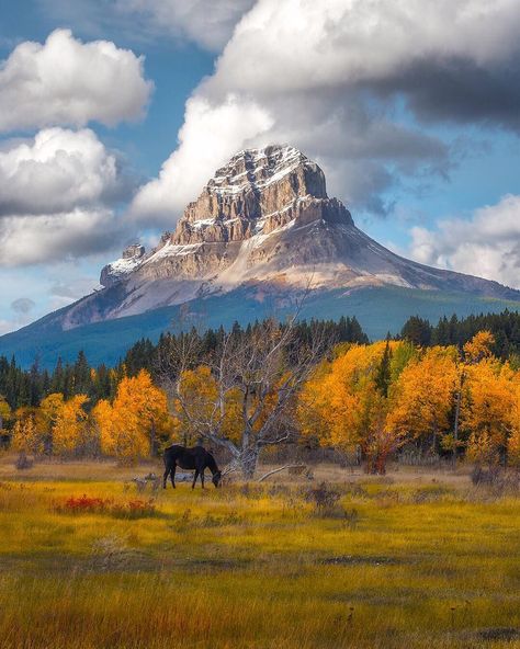 Canadian Nature, Fes Morocco, Image Nature, Destination Voyage, Autumn Scenery, Jolie Photo, Amazing Adventures, Canada Travel, Mountain Landscape