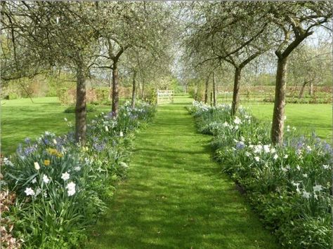 Orchard Design, Orchard Garden, Big Garden, Garden Landscape Design, Garden Trees, Garden Cottage, Farm Gardens, Country Gardening, Balcony Garden