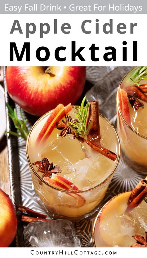 This homemade apple mocktail tastes like autumn in a glass! Made with apple cider, ginger ale, cozy spices, and fresh fruit, everyone can enjoy this light and refreshing fall drink! If you want a fun fall drink for the whole family, this sparkling apple mocktail is the way to go! It’s a deliciously sweet, spiced apple cocktail without alcohol. You get the beautiful flavors of fruity apple, cozy cinnamon, and rich honey. Perfect for a crowd and a hit on holidays! | CountryHillCottage.com Non Alcoholic Apple Cider Drinks, Fall Mocktails Non Alcoholic Big Batch, Thanksgiving Mocktail Recipe, Cocktail Without Alcohol, Fall Drinks Nonalcoholic, Holiday Apple Cider, Fall Party Drinks, Apple Mocktail, Thanksgiving Apple Cider