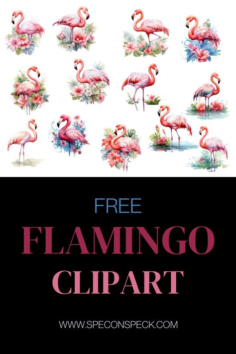 13 various flamingo pngs in different styles Flamingo Clipart Free, Flamingo Images Free Printable, Flamingo Images, Free Flamingo Printables, Flamingo Clipart, Flamingo Printables, Flamingo Clip Art, Flamingo Projects, Flamingo Craft