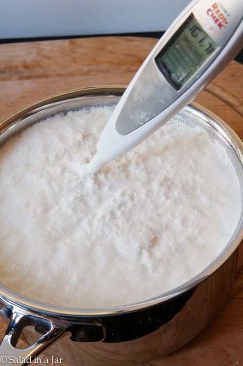 Make ricotta cheese using the whey you drained from making your own Greek yogurt. #whey #thingstodowithwhey #Greekyogurt #ricottacheese Ricotta From Whey, Recipes Greek Yogurt, Whey Recipes, Cheese Recipes Homemade, Cheese Making Recipes, Recipes Greek, Make Greek Yogurt, Homemade Ricotta, Greek Yogurt Recipes