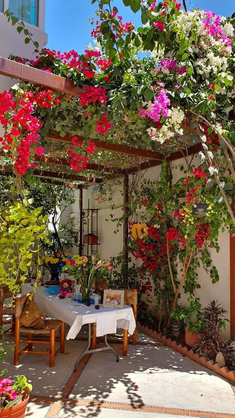 Spanish Inspired Backyard, Mexican Garden Hacienda Style, Balkon Decor, Home Garden Design, Outdoor Decor Backyard, Plants And Flowers, Balcony Design, Dream House Interior, Dream House Exterior