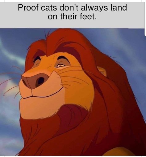 Funny Disney Jokes, Funny Pix, Movie Memes, Dark Memes, Disney Jokes, Memes Humor, Very Funny Pictures, Disney Memes, Disney Movie