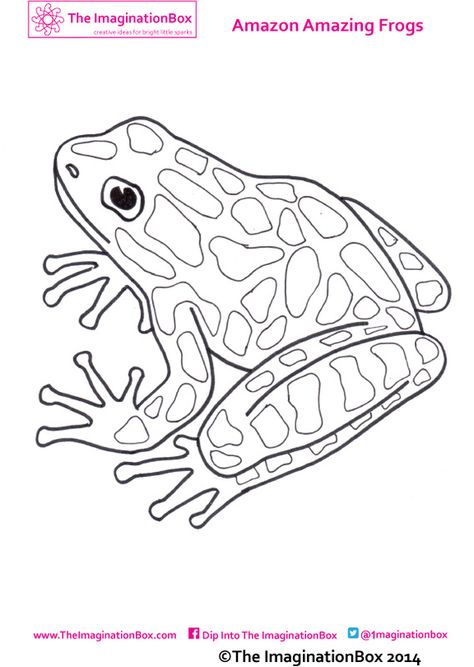 Creative travel friendly activities and printables for kids - The Imagination Box Frog Colouring Sheet, Rainforest Animals Printables, Frog Activity, Frog Printable, Frog Coloring, Frog Activities, Poison Dart Frog, Amazing Frog, Frog Coloring Pages