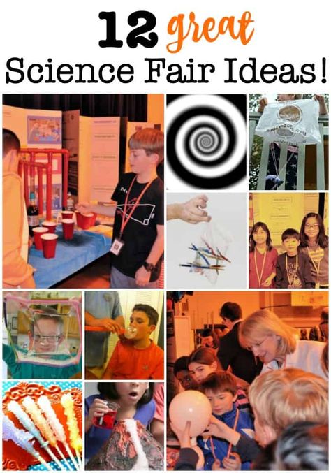 My kids say that the annual Science Fair is their favorite event at school! Here are 12 great science fair ideas that we've used to make our projects a success!  #ScienceFair #ScienceFairIdeas #ScienceFairProjects #KidsScience Best Science Fair Projects Middle School, Middle School Science Fair Project Ideas, Grade 4 Science Fair Projects Ideas, Science Fair Ideas 7th Grade, Sports Science Fair Projects, Science Fair Ideas For Middle School, Awesome Science Fair Projects, Fun Science Fair Projects 3rd Grade, Science Fair Ideas Highschool