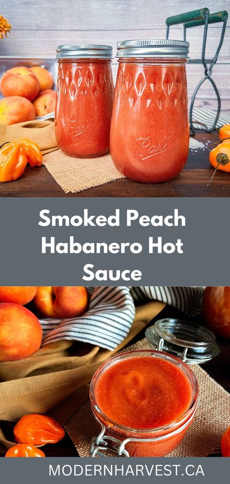 Look no further for the perfect spicy peach hot sauce. Bursting with flavor and heat from the peaches and habanero peppers, this sauce is a keeper. Peach habanero hot sauce can be eaten fresh or canned for long term preservation. The combination of sweet, ripe peaches and spicy habanero peppers swirled with smoke make this habanero hot sauce recipe a keeper. Peach Habanero Hot Sauce Recipe, Peach Habanero Hot Sauce, Fresh Pepper Hot Sauce Recipe, Smoked Habanero Peppers, Peach Habanero Sauce, Peach Habenero Recipes, Making Hot Sauce From Fresh Peppers, Mango Hot Sauce Recipe, What To Do With Habenaros