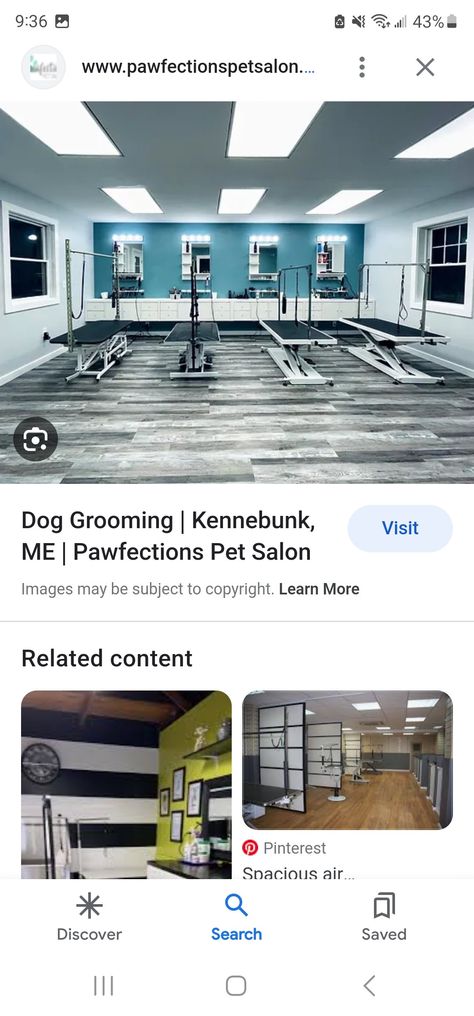 Small Dog Grooming Salon, Small Dog Grooming Salon Ideas, Grooming Salon Ideas, Groomer Salon, Dog Grooming Salon Ideas, Grooming Room, Grooming Salons, Dog Grooming Shop, Dog Grooming Salons