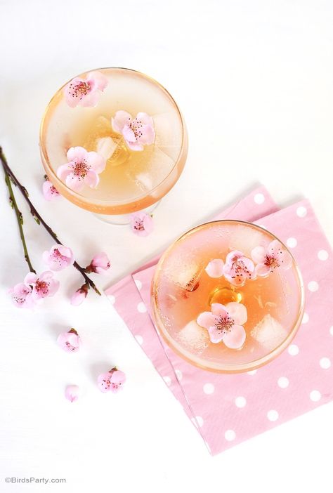 Spring Blossom Cocktail Recipe- Using real flowers! perfect cocktail for Spring parties or Mother's Day! - BirsdParty.com Sparkling Lemonade, Birthday Cocktails, Pretty Cocktails, Cherry Brandy, Floral Cocktails, Bird Party, Spring Cocktails, Cherry Flower, Perfect Cocktails