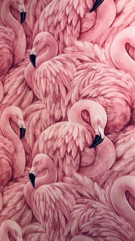 Aesthetic Flamingo, Flamingo Wallpaper, Flamingo Painting, Flamingo Art, Colored Eyeliner, Pop Art Wallpaper, Picture Collage Wall, Cat Air, Phone Wallpaper Patterns