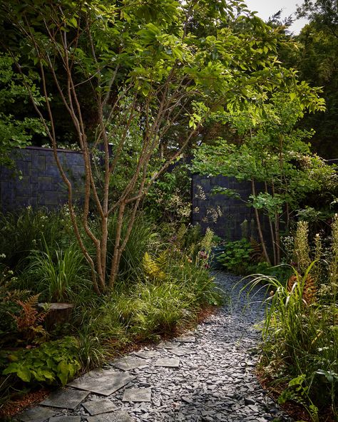 This garden is more than just a visual delight—it’s a sensory adventure that changes with the seasons, offering a unique experience year-round. Swipe to see the transformation from a bare patch into an Edgy Woodland Wonderland!🌳✨ 📸 🌿 @alistergthorpe 👷 🌿 @shootsandleaveslondon 🌿🌿 @leongardens #LandscapeArchitecture #GardenDesign #WoodlandWonderland #SouthLondon #NatureInspired #stefanomarinaz #landscapearchitecture #landscapedesign #gardenlife #gardeninspiration #instagarden #gardendesig... Stefano Marinaz, Unique Outdoor Spaces, Garden Desig, Gardening Design, London Garden, Landscape Construction, Forest Garden, City Garden, South London