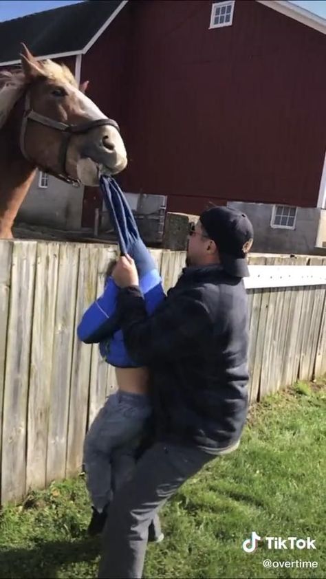 Horses Doing Funny Things, Pet Funny Videos, Most Funny Videos Laughing, Laughing Videos Funny Stuff, Funny Stuff Videos, Lol Videos Hilarious, Funny Tiktoks Video, Very Funny Videos Laughing, Jokes Videos Funny