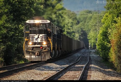 RailPictures.Net Photo: NS 8829 Norfolk Southern GE C40-9 (Dash 9-40C) at Big Stone Gap, Virginia by Brock Dishner Big Stone Gap Virginia, Big Stone Gap, Norfolk Southern, Virginia Usa, Norfolk, Virginia, Gap, Train, Stone