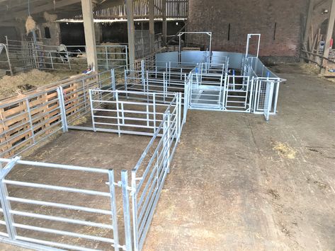 Cattle Facility, Steel Fencing, Wife Duties, Sheep Pen, Goat Pen, Raising Goats, Homestead Farm, Farm Wife, Sheep Farm