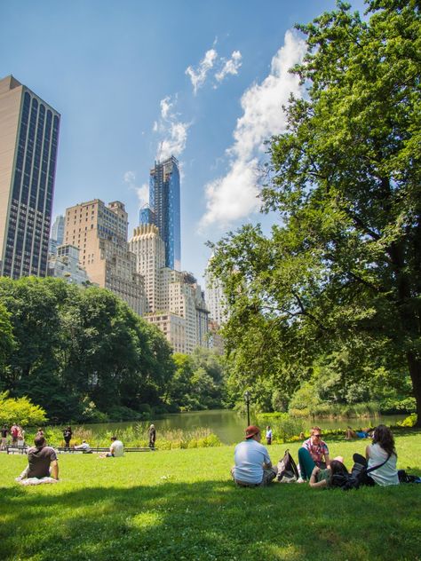 Central Park Picnic, Things To Do In Nyc, New York City Photos, Nyc Life, New York Life, Ap Art, The Plaza, New York Travel, City Aesthetic