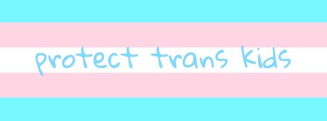 Trans Twitter Banner, Sol Aesthetic, Trans Flag, Trans Rights, Twitter Banner, Twitter Headers, Twitter Header, Pride Flags, Lives Matter