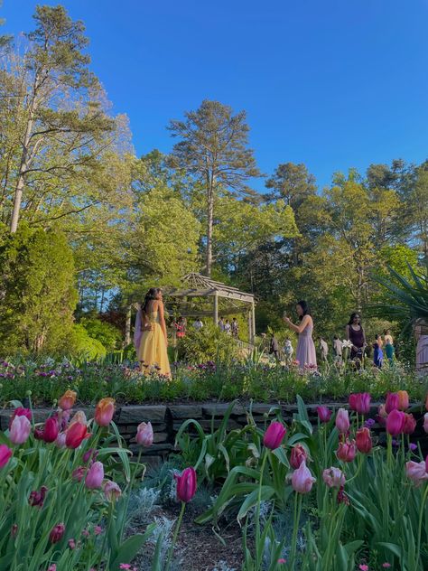 Duke University Aesthetic, Duke Aesthetic, Gardens Aesthetic, Duke Gardens, Dream School, Duke University, Future Life, University, Pins