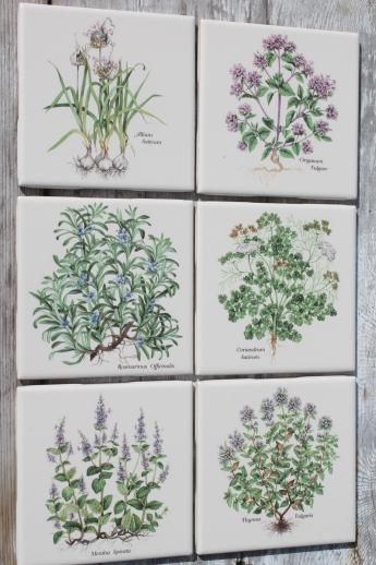 ceramic kitchen tiles w/ botanical herb prints of culinary herbs Botanical Tiles Kitchen, Craftsman Backsplash, Botanic Decor, Splash Back Ideas, Botanical Tiles, Ceramic Kitchen Tiles, Herb Kitchen, Herbal Kitchen, Prairie Flowers