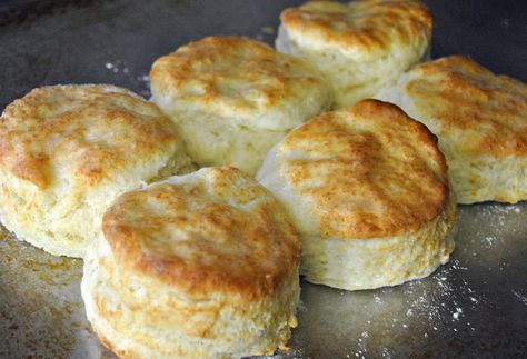 From the blog, "Cooking in the Maxwell House, she uses an Alton Brown recipe for biscuits. Alton is a Southern guy who ought to know his biscuits! Popeyes Biscuit Recipe, Hardees Biscuit Recipe, Pawpaw Recipes, Baby Biscuits, Buttermilk Biscuit, Homemade Biscuits Recipe, Flaky Biscuits, How To Make Biscuits, Drop Biscuits