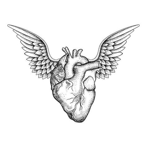 Real Heart Tattoos, Heart With Wings Tattoo, Angel Wings Drawing, Heart Temporary Tattoos, Realistic Temporary Tattoos, Winged Heart, Heart Vector, Wings Drawing, Heart Tattoo Designs