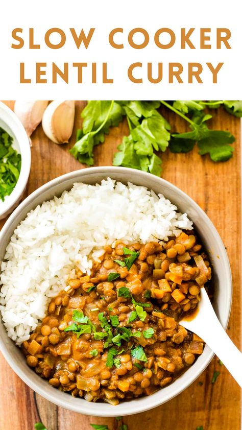 Slow Cooker Lentil Curry, Curry And Rice, Lentil Curry Recipes, Slow Cooker Curry, Vegan Crockpot, Slow Cooker Lentils, Course Ideas, Dried Lentils, Egg Free Recipes